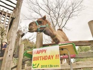 ピノのお誕生日会