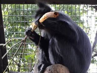 ツルツルになります