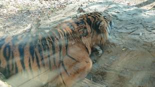 デルたちは知っている・・・