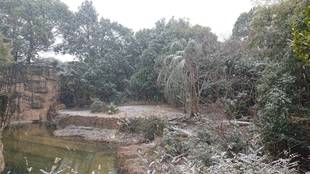 予報が外れて・・・