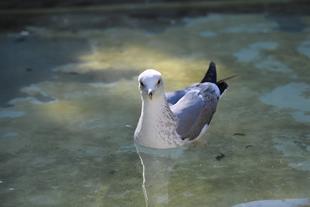 展示をお休みしています