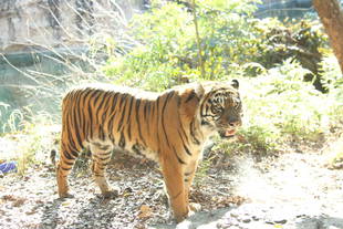 頂いた遊具で･･･　最終回（動画もあるよ！）