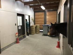 今日のメニューは、なんですか？