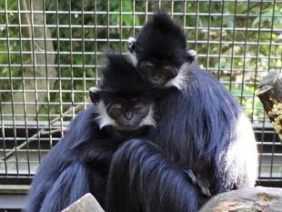 よ～く見てください