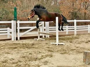 ジャンプの練習中