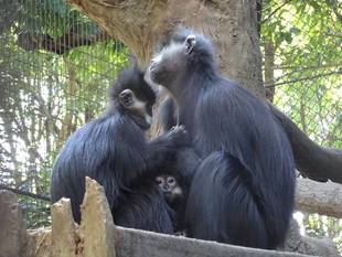 お父さん大好き!