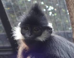 私はだれでしょう？その４