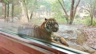 季節の変わり目のせいか・・・