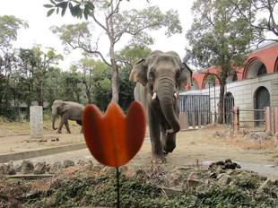 バレンタインデーだぞう！【3日目】
