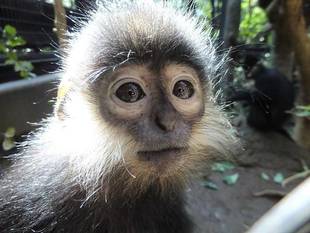 マイペースなようです