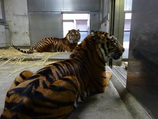 101回目の・・・