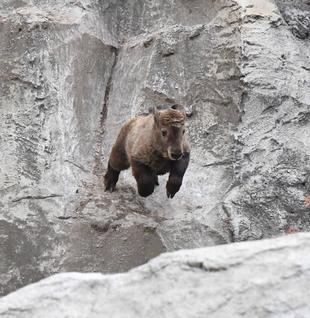 さらなる広い世界へ