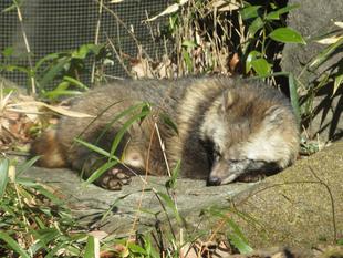 好きスポット②