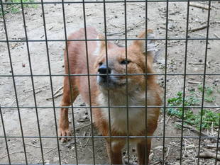 1年が経ちました☆*+。