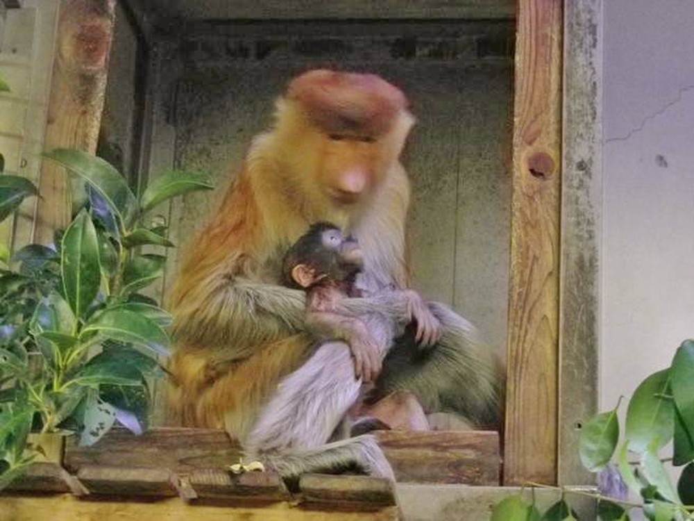 食べてみたいの写真