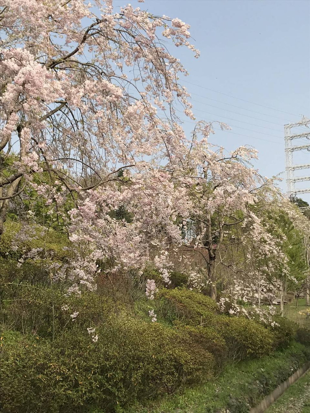 暖かい日には・・・の写真
