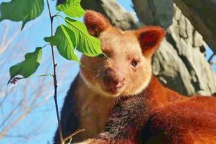 春がやってきました！