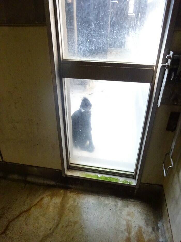 見られていましたの写真