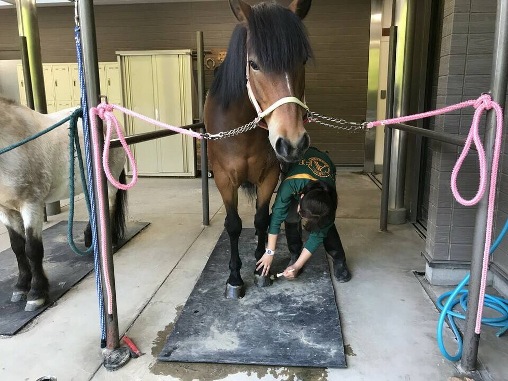 ソフィアに密着の写真
