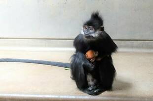 今年も産まれました！！