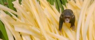 5月といえば・・・？