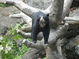 恋のささやき、聞こえますか？