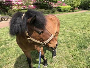 あっちもこっちも