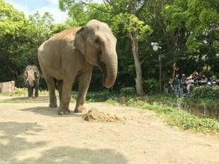 20周年動物たちにプレゼントの裏側のおはなし