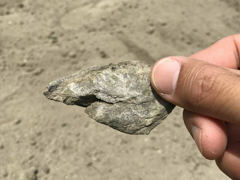 落し物の写真