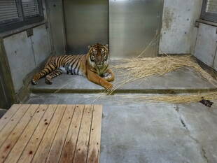 お好きな場所で・・・