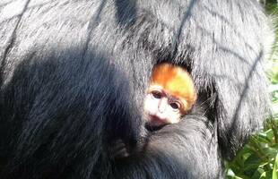 愛称がきまりました♪