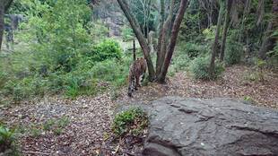 5年ぶり！？　( ﾟДﾟ)