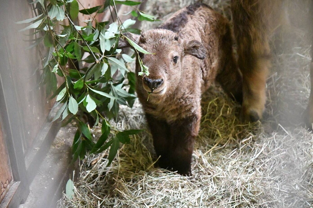 そういえば...の写真