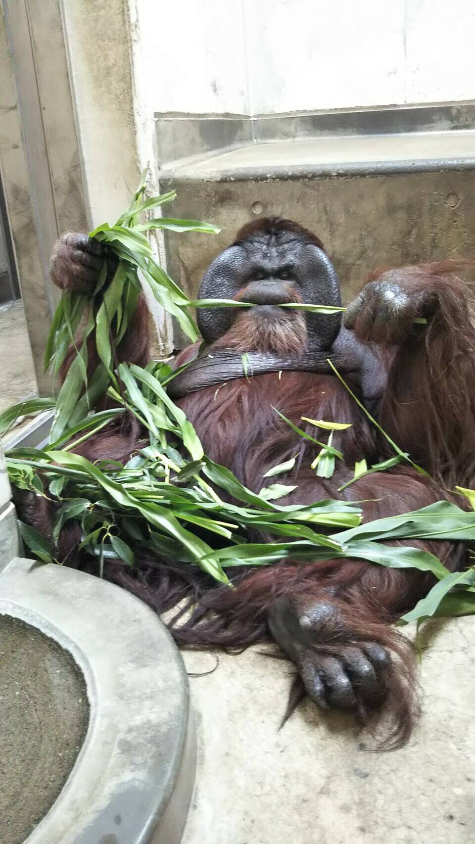 みんな夢中!の写真