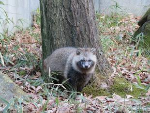 マルのスロープ