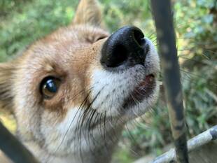コウシロウの日常