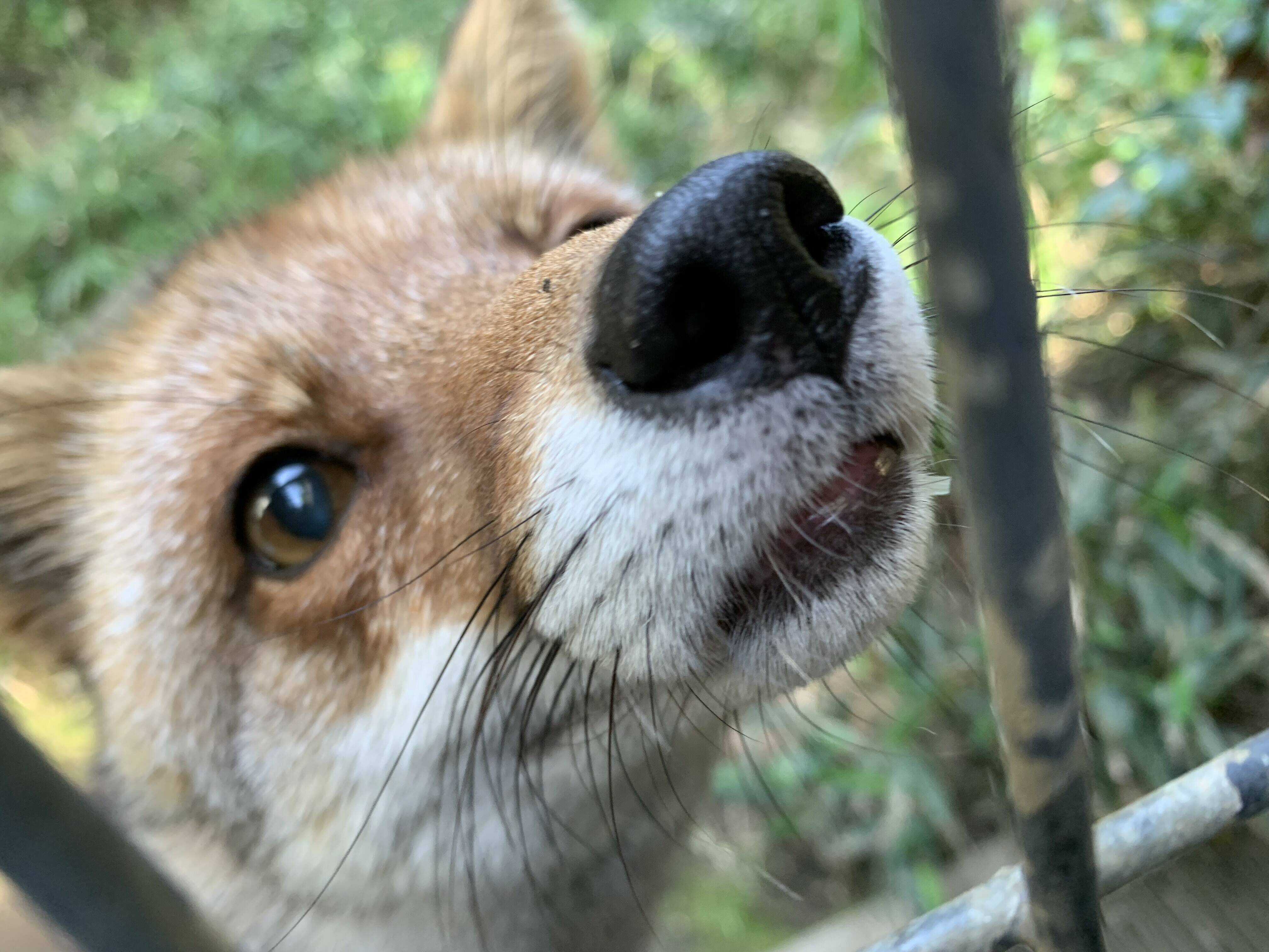 コウシロウの日常の写真