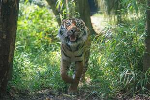 カリにもプレゼントを！！