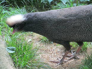 もう間もなく終わりですよー！