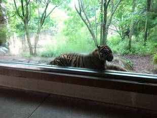 雨の日はラッキー！？（かも知れません）