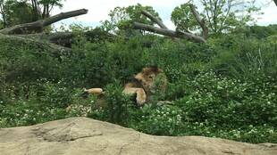 幸せのおまじない