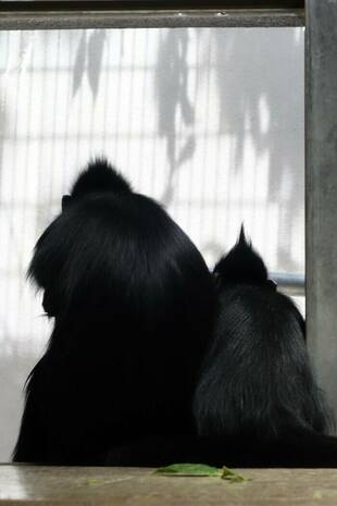 気になってしょうがない！！