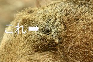 これな～～～～んだ？