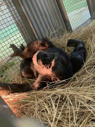 リーダーはつらいよ...