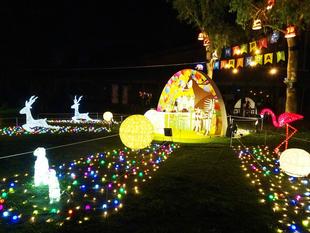 ナイトズーラシアいよいよ開催！