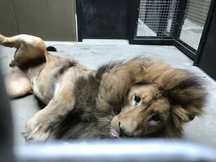 魅惑のかほり②