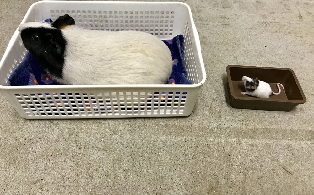 親子なの?の写真