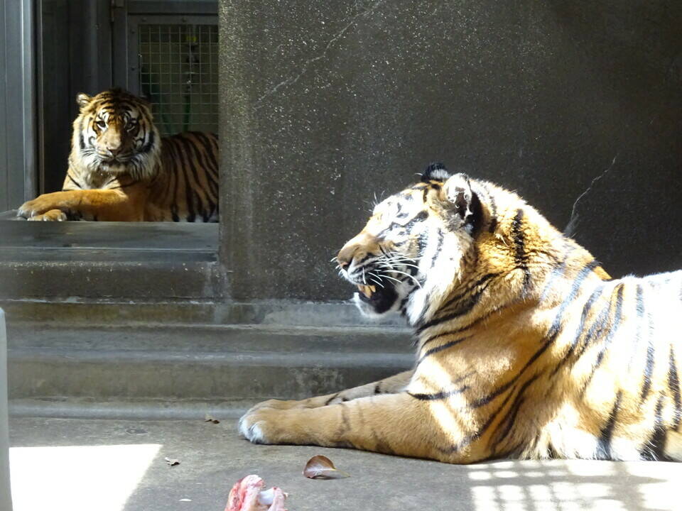 今年度に入ってからも・・・の写真