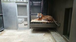 カリのこだわり？？