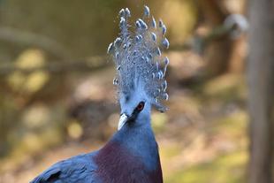 うれしいお知らせ